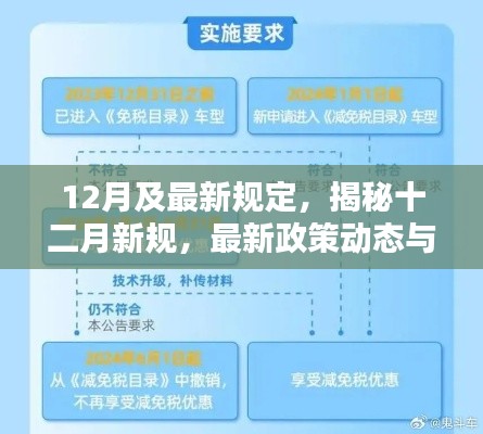 揭秘十二月新规，最新政策动态与实施细节详解