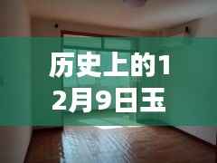 历史上的12月9日玉田个人出租房变迁与趋势分析，回顾与前瞻