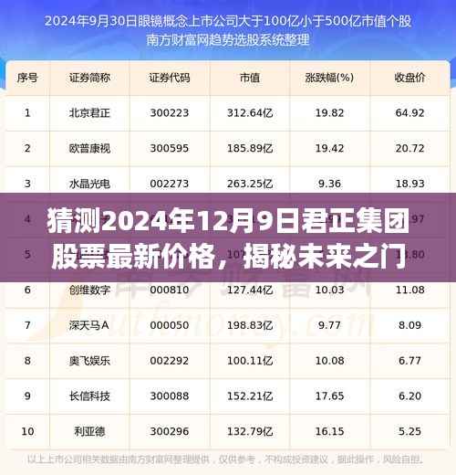 揭秘未来之门,君正集团股票最新价格预测(2024年12月9日)