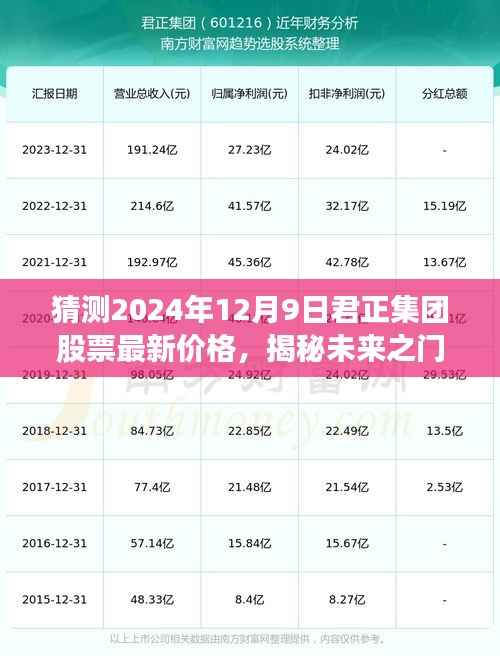揭秘未来之门,君正集团股票最新价格预测(2024年12月9日)