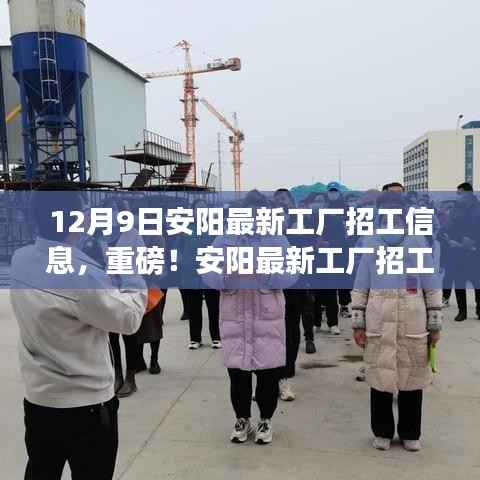 重磅揭秘，安阳工厂最新招工信息，开启您的职业之旅！