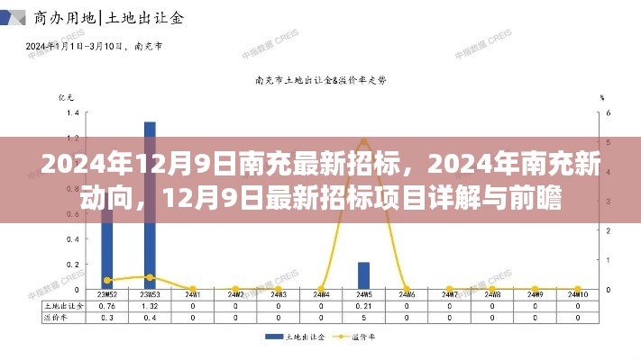 2024年南充新动向，最新招标项目详解与前瞻