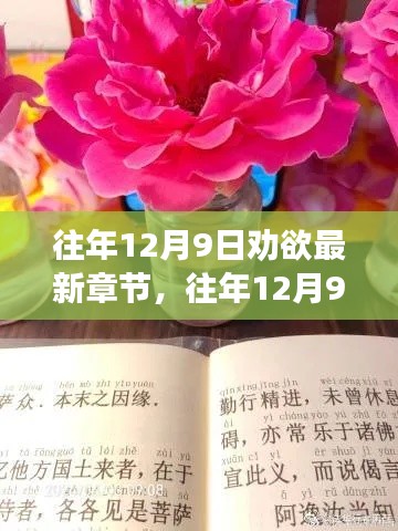 往年12月9日,劝欲之心的转变与成长新篇章