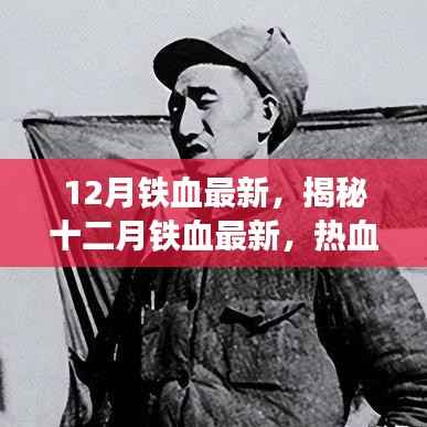 揭秘十二月铁血最新,热血战场上的不屈意志较量