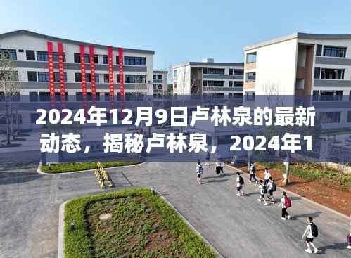 揭秘卢林泉，最新动态与人生轨迹（2024年12月9日更新）