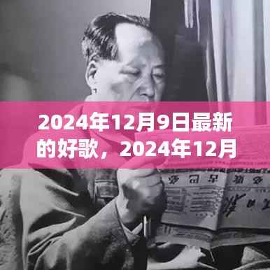 2024年12月9日最新热歌盘点,潮流风向标下的好歌推荐
