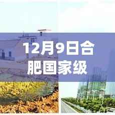 揭秘合肥滨湖新区最新发展动态与未来规划，重磅更新消息出炉，展望合肥国家级滨湖新区未来前景