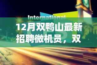 双鸭山12月最新科技招聘热点,招募微机员精英团队