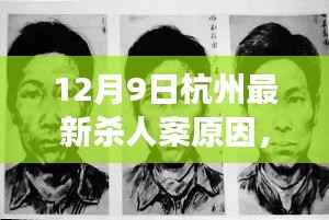 杭州最新杀人案深度揭秘,悲剧背后的原因探究