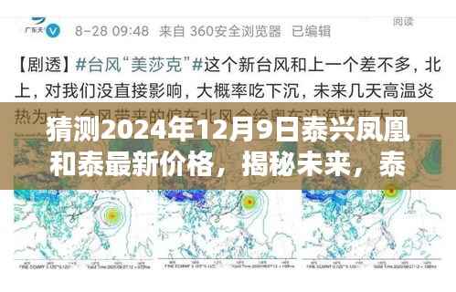 揭秘未来泰兴凤凰与泰最新价格走势预测报告（预测至2024年12月9日）