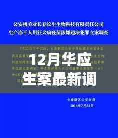 揭秘华应生案最新调查进展,深度解析十二月最新情况