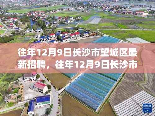 往年12月9日长沙市望城区最新招聘动态深度解读与概览