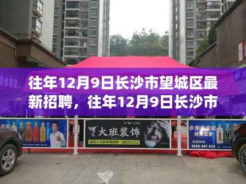 往年12月9日长沙市望城区最新招聘动态深度解读与概览