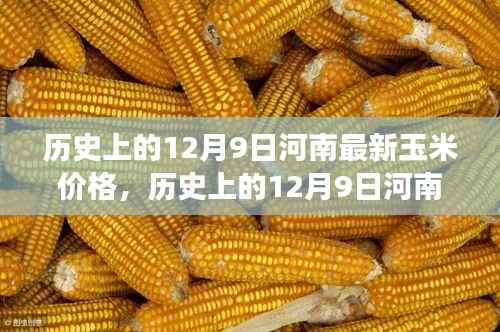 河南玉米市场深度解析,历史价格走势与当前市场分析,聚焦12月9日最新玉米价格动态