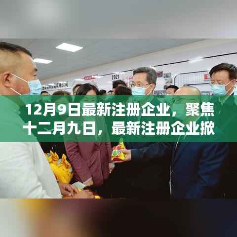 聚焦十二月九日,最新注册企业掀起创新与活力浪潮