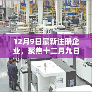 聚焦十二月九日,最新注册企业掀起创新与活力浪潮