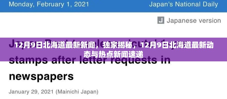 独家揭秘！最新北海道动态与热点新闻速递（12月9日）
