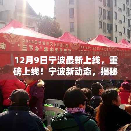 富贵荣华 第5页