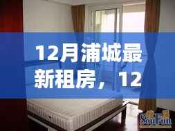 12月浦城热门房源精选与租房指南,最新房源推荐及实用攻略