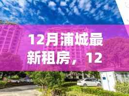 12月浦城热门房源精选与租房指南,最新房源推荐及实用攻略