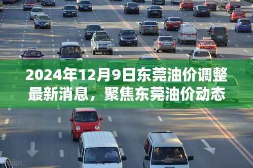 2024年12月9日东莞油价调整最新消息与深度解析