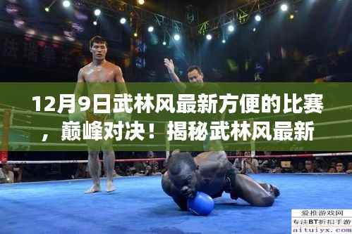 武林风最新比赛，巅峰对决揭秘赛场传奇，方便比赛回顾