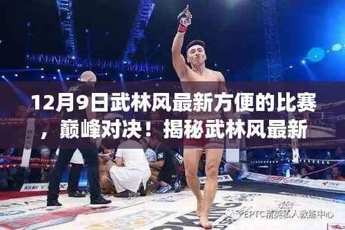 武林风最新比赛,巅峰对决揭秘赛场传奇,方便比赛回顾