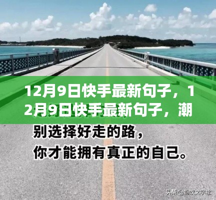 12月9日快手最新句子,潮流风向与灵感源泉