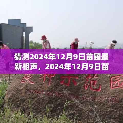 科技与传统文化碰撞的喜剧情境，苗圃最新相声猜想 2024年12月9日独家揭秘