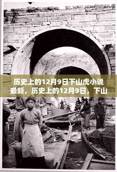 历史上的12月9日,下山虎小说的巅峰时刻与最新进展