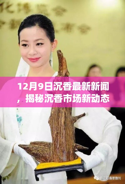 12月9日沉香市场揭秘,最新动态与新闻报道