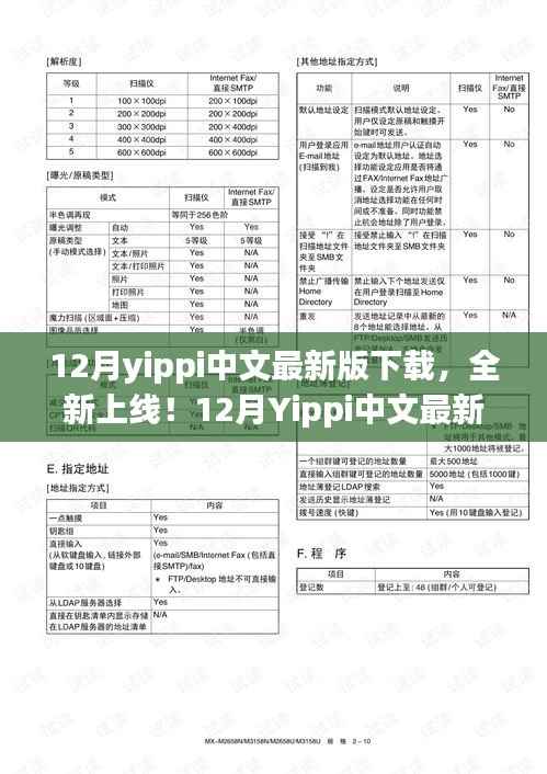 12月Yippi中文最新版下载指南与体验分享,全新上线,不容错过!