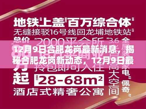 揭秘合肥龙岗新动态,最新消息速递(12月9日)