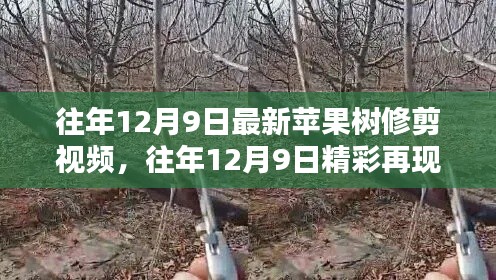 往年12月9日苹果树修剪技艺精彩回顾与最新教程视频发布