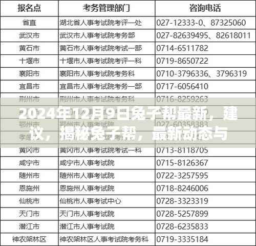 揭秘兔子帮,最新动态、建议与未来展望——聚焦2024年12月的新篇章