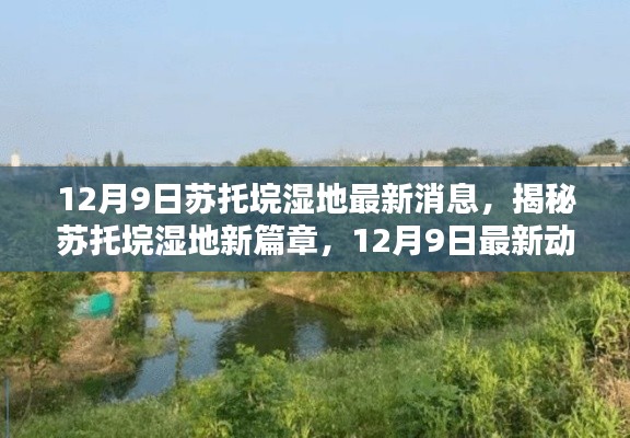 揭秘苏托垸湿地新篇章，最新动态与消息速递（12月9日）