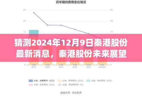 秦港股份最新动态,未来展望与港口新动向揭秘(猜测至2024年12月9日)