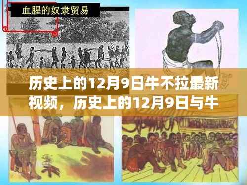 探寻历史上的牛不拉最新视频背后的故事与潮流脉络，揭秘十二月九日背后的秘密与潮流趋势