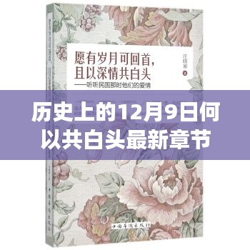 揭秘历史上的12月9日深层含义,何以共白头最新章节探讨揭秘!