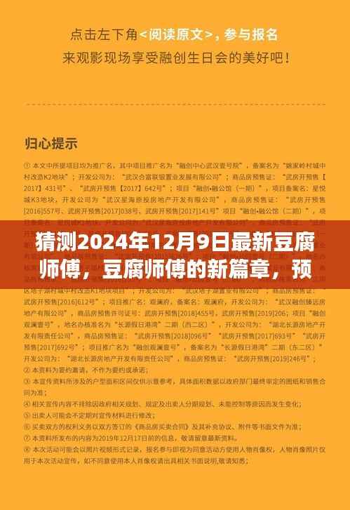 2024年豆腐师傅创新之旅,探寻豆腐艺术的新篇章与未来预测