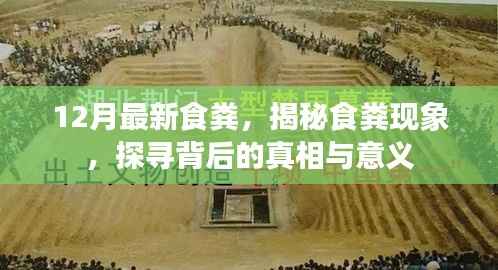 揭秘食粪现象背后的真相与意义，探寻食粪背后的深层含义