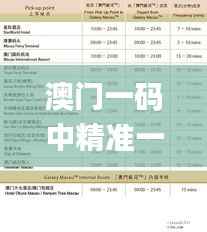 澳门一码中精准一码的投注技巧,高效实施设计策略_Ultra9.829