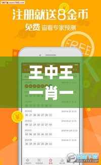 王中王一肖一特一中一,实地验证策略_V版6.630