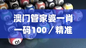 澳门管家婆一肖一码100／精准,统计解答解释定义_W9.120