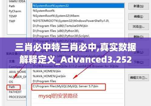 三肖必中特三肖必中,真实数据解释定义_Advanced3.252