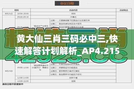 黄大仙三肖三码必中三,快速解答计划解析_AP4.215
