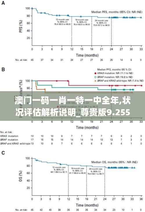澳门一码一肖一特一中全年,状况评估解析说明_尊贵版9.255