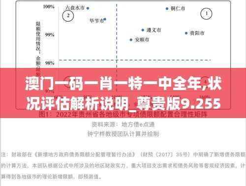 澳门一码一肖一特一中全年,状况评估解析说明_尊贵版9.255