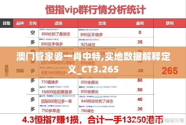 澳门管家婆一肖中特,实地数据解释定义_CT3.265