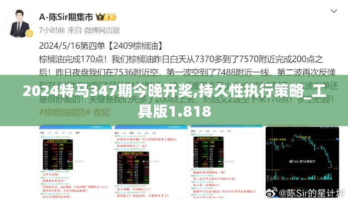 2024特马347期今晚开奖,持久性执行策略_工具版1.818
